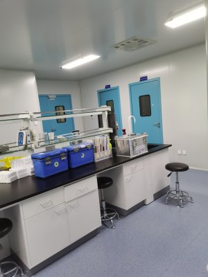 雲南PCR實驗室工程